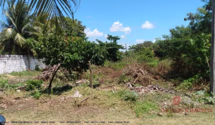 Terreno para Venda em Extremoz, Centro