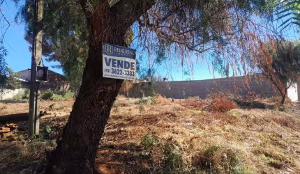 Terreno para Venda em Guarapuava, Industrial