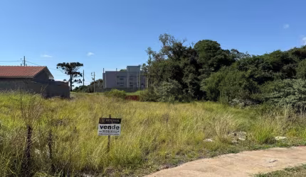 Terreno para Venda em Guarapuava, Industrial