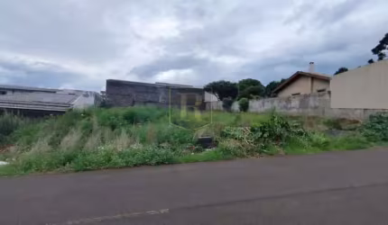 Terreno para Venda em Guarapuava, Morro Alto