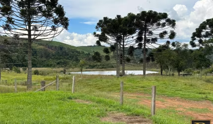 Fazenda para Venda em Guarapuava, Colônia Vitória - Distrito de Entre Rios