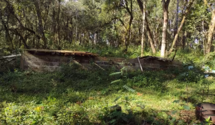 Chácara para Venda em Guarapuava, Jordão
