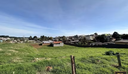 Terreno para Venda em Guarapuava, Alto da XV