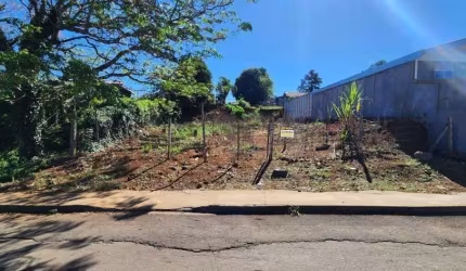 Terreno para Venda em Guarapuava, Morro Alto
