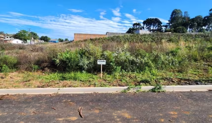 Terreno para Venda em Guarapuava, Morro Alto