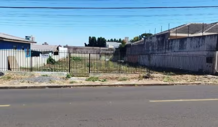 Terreno para Venda em Guarapuava, Santana