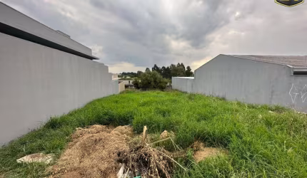 Terreno para Venda em Guarapuava, Vila Carli