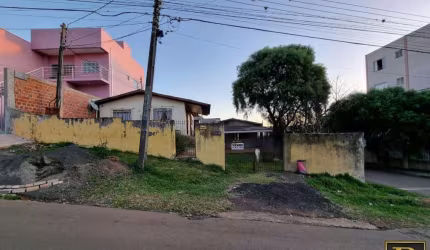 Terreno para Venda em Guarapuava, Santa Cruz