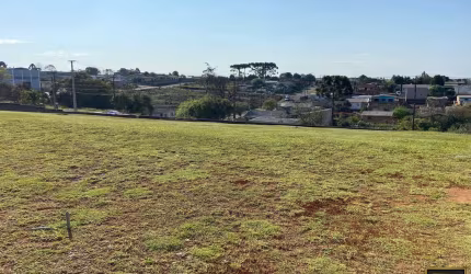 Terreno para Venda em Guarapuava, Cascavel