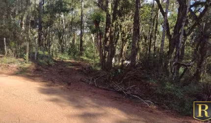 Chácara para Venda em Guarapuava, Jordão
