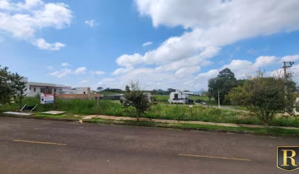 Terreno para Venda em Guarapuava, Alto Cascavel