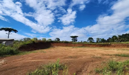 Terreno para Venda em Guarapuava, Morro Alto