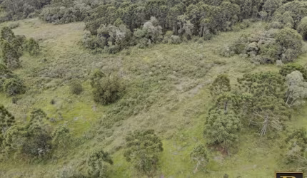 Chácara para Venda em Guarapuava, Guairacá
