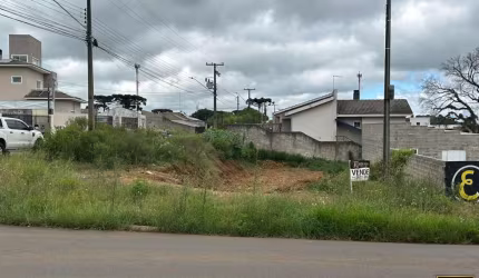 Terreno para Venda em Guarapuava, Santa Cruz