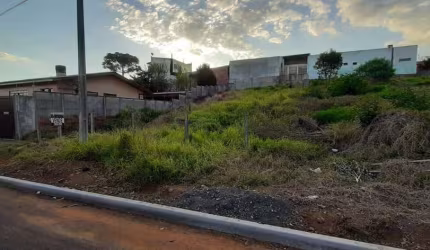 Terreno para Venda em Guarapuava, Conradinho