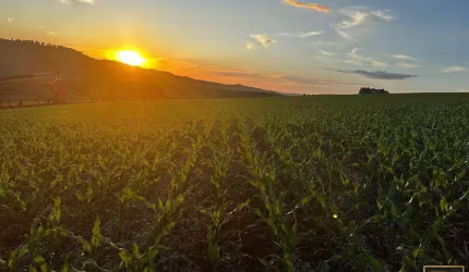 Fazenda para Venda em Goioxim, Rural