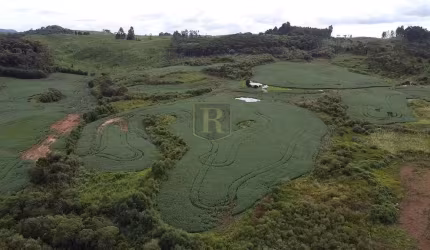Chácara para Venda em Inácio Martins, Área Rural
