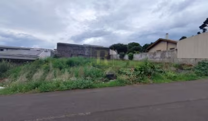 Terreno para Venda em Guarapuava, Morro Alto
