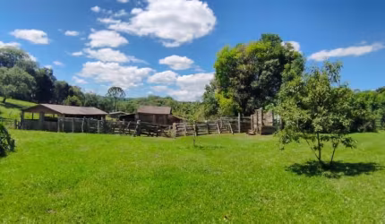 Chácara para Venda em Guarapuava, Palmeirinha