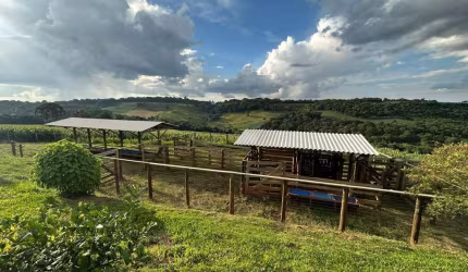 Chácara para Venda em Guarapuava, Guairacá