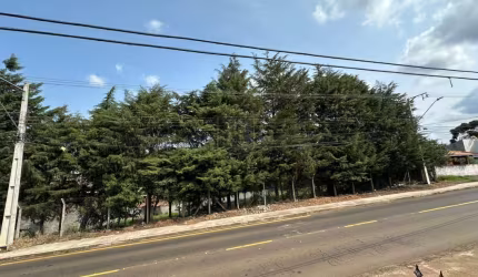 Terreno para Venda em Guarapuava, Boqueirão
