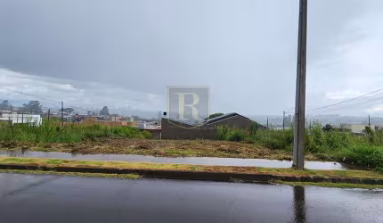 Terreno para Venda em Guarapuava, Alto Cascavel