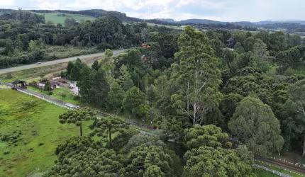 Chácara para Venda em Guarapuava, BR 277