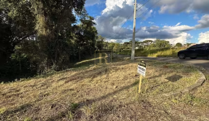 Terreno para Venda em Guarapuava, Trianon
