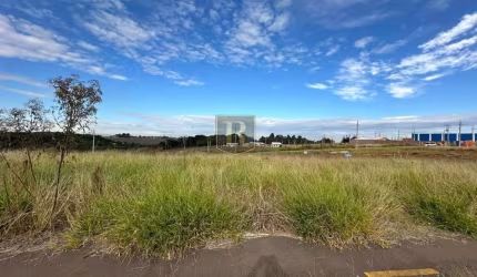 Terreno para Venda em Guarapuava, Morro Alto