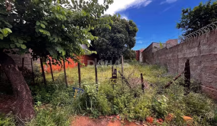 Lote / Terreno em Jardim Nova Barretos  -  Barretos
