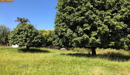 Terreno plano bem localizado no bairro Mário Dedini