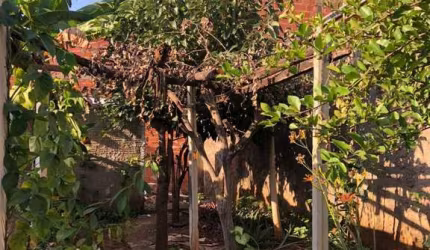 Terreno plano bem localizado no bairro Mário Dedini