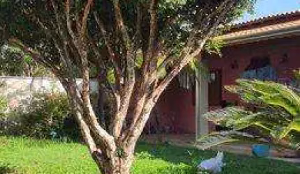Chácara com duas construções, poço e completa infraestrutura de lazer. Bairro: Campestre