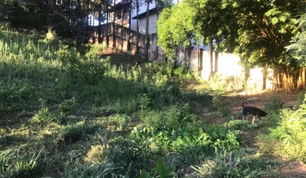 Loteamento à venda em Vale Verde - SP