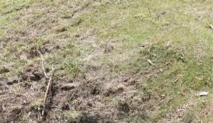 Loteamento à venda em Bosque - SP
