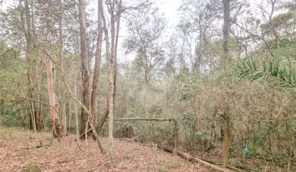Loteamento à venda em Caixa D´água - SP