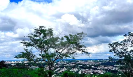 Loteamento à venda em Bosque - SP