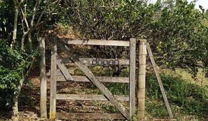Rancho próximo a Nova Ponte