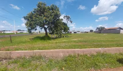 04 Lotes Juntos no Laranjeiras