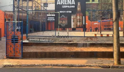 ARENA LEOLPODINO
