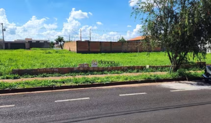 LOTE LARANJEIRAS