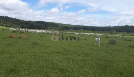 Fazenda à venda, 5 quartos, 1 suíte, 4 vagas, São Cristóvão - Patrocinio/MG
