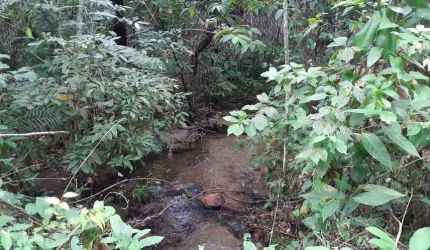 FAZENDA À VENDA, 939 M² POR R$ 9.350.000,00 - FRONTEIRA - SANTO ANTÔNIO DO LEVERGER/MT