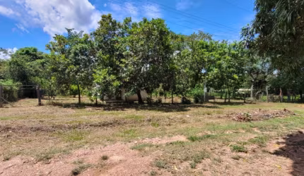 VENDO CHACARA DISTRITO DA GUIA