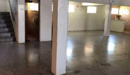 Galpao 600 mts