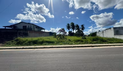 Terreno Lote em Alagoinhas Velha, Alagoinhas/BA