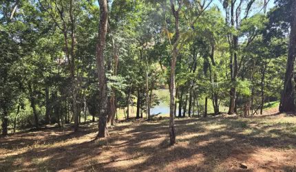 Viva no paraíso: Lote de 4.253m² no Aldeia do Vale, Goiânia!