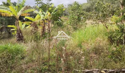 Chácara / sítio à venda na Rodovia Coronel Acrísio Martins Prates, 7914, Fiuza, Viamão por R$ 300.000