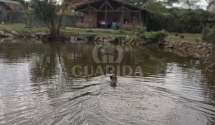 Chácara / sítio com 4 quartos à venda na Rua do Jesuíno, 590, Lageado, Porto Alegre por R$ 789.000
