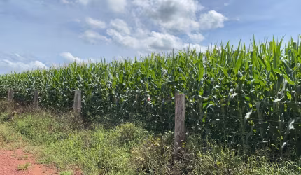 Excelente fazenda na região de Araguaína